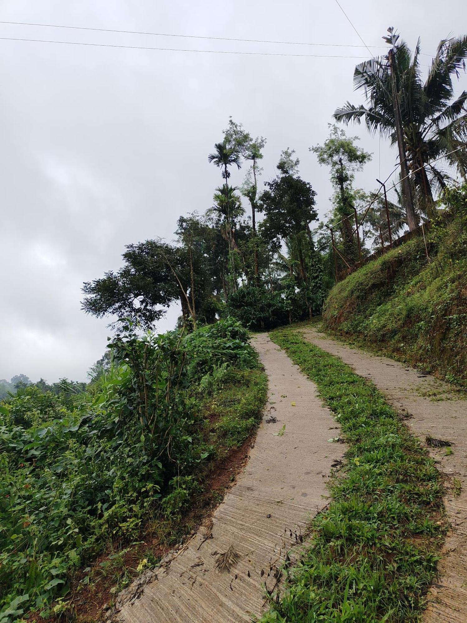 Shivalaya Homestay, Madikeri Siddapura  Ngoại thất bức ảnh