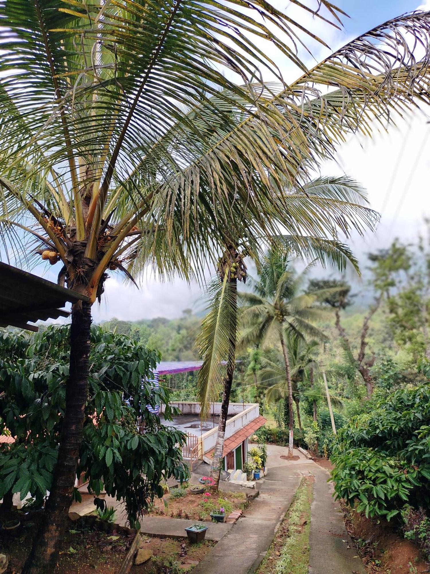 Shivalaya Homestay, Madikeri Siddapura  Ngoại thất bức ảnh